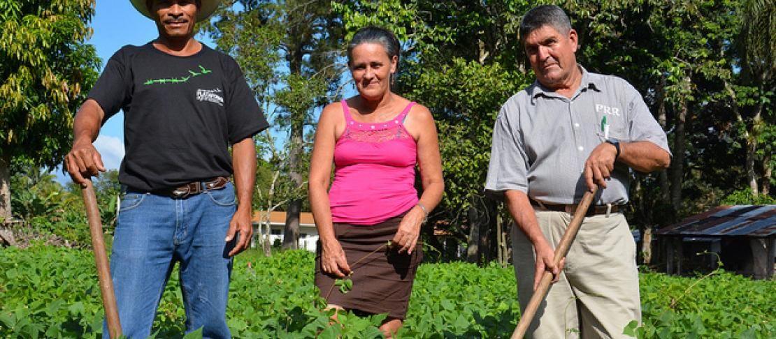 Working Towards A Climate Smart Agricultural Sector In Latin America